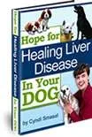 HopeForHealing_4