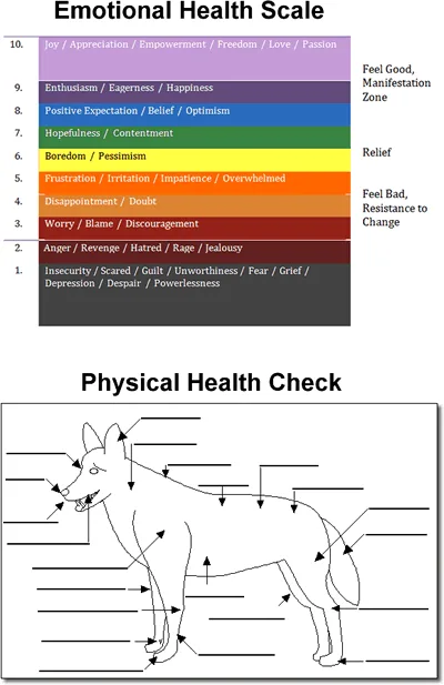 emotionalandphysicalhealthcheck