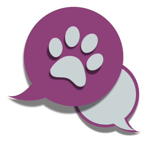 Cyndi the Pet Communicator