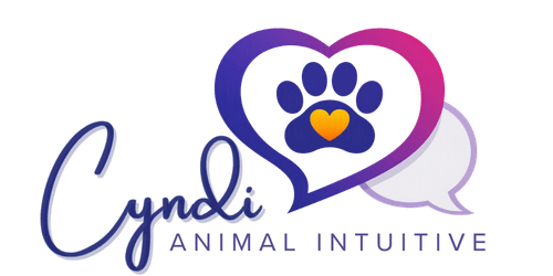 Cyndi the Pet Communicator